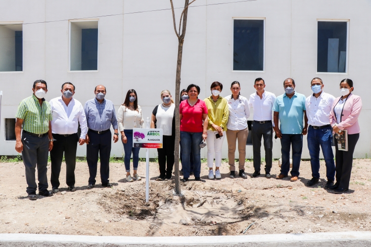 PRESIDENTA MUNICIPAL IMPULSA INTERINA PROGRAMA &quot;ADOPTA UN ÁRBOL&quot;