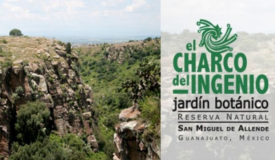 EN SMA, EL CHARCO DEL INGENIO, SE ALZA A FAVOR CON UNA SETENCIA DE UN  TRIBUNAL FEDERAL, RECONOCIENDO SU ZONA GEOGRAFICA ORIGINAL