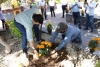 Autoridades Municipales y Comerciantes Establecidos Embellecen el Jardín de Los Compositores