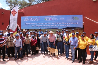 Capacitación y demostración de cultivo maguey mezcal del programa reconversión sustentable de la Secretaria De Desarrollo Agroalimentario y Rural.