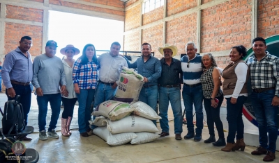 Ocampo: Entregan semilla a productores agrícolas