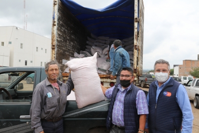 En Dolores Hidalgo, Gobierno Municipal Apoya a Ganaderos con Semillas de Avena Forrajera